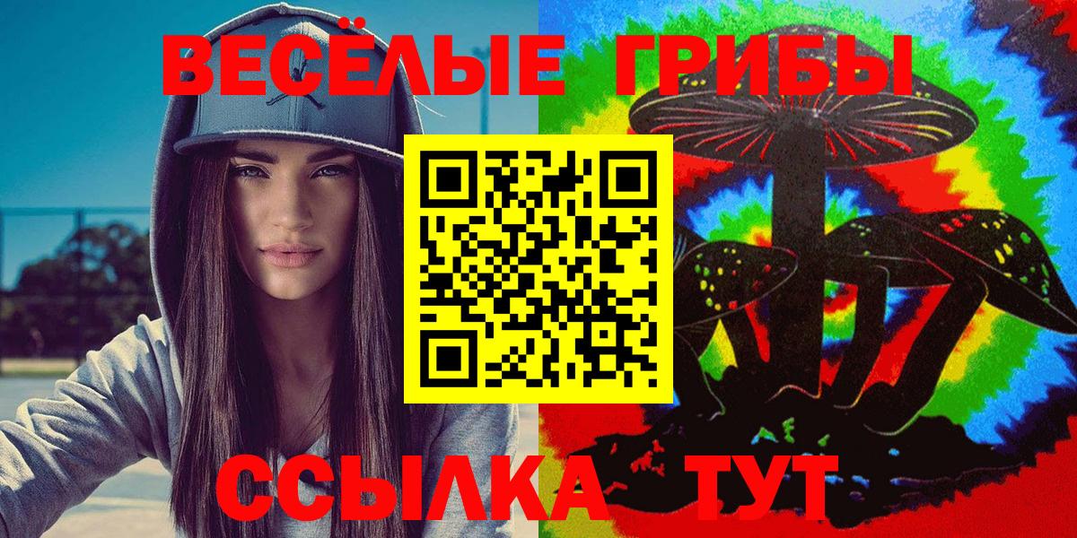 Галлюциногенные грибы прущие грибы  Галлюциногенные грибы Cubensis  Качканар  купить наркоту  Вход с VPN 